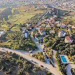 Jata